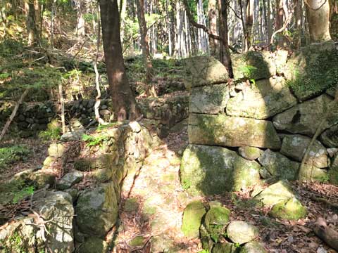 三重県熊野市向井ふとん店ブログ　尾鷲市山歩き