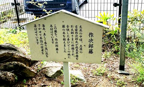 作次郎藤　オーダー枕と手作り布団の店、三重県熊野市向井ふとん店