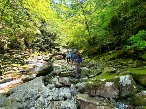 尾鷲市アナギの滝　三重県熊野市向井ふとん店ブログ