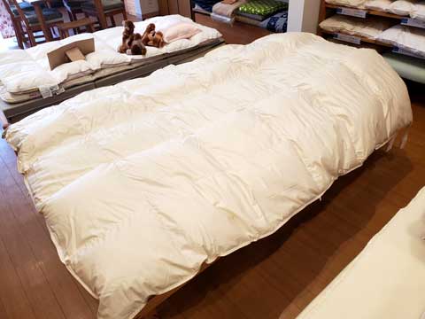 羽毛布団打ち直しリフォーム 三重県熊野市向井ふとん店