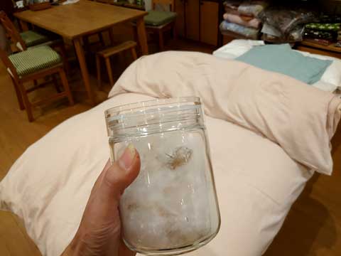 羽毛布団の中身 三重県熊野市向井ふとん店