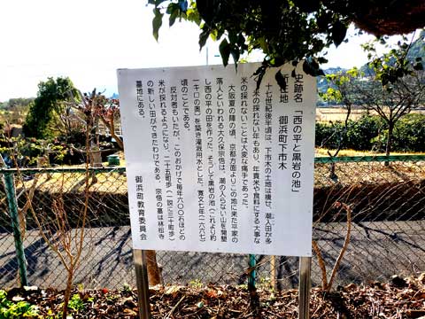 三重県伝統工芸市木木綿工場見学ツアー 向井ふとん店