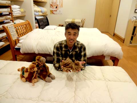キャメル敷パット、腰痛予防、アレルギーの方も安心な布団、向井ふとん店、三重県、尾鷲、紀北町、紀宝町、南伊勢、御浜町、大紀町、志摩市、伊勢市、和歌山県の新宮市、那智勝浦町、田辺市、串本町、白浜町、古座川町、太地町、すさみ町,