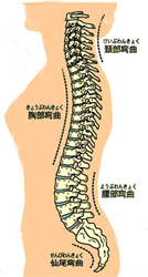 寝姿勢