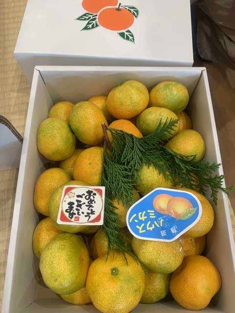 向井ふとん店 5周年