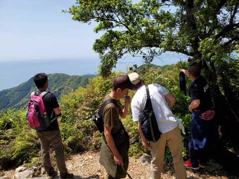 姫越山登山　向井ふとん店