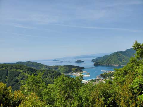 姫越山登山 向井ふとん店